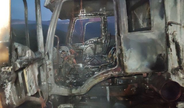 Orhangazi'de tavuk yemi yüklü kamyon yandı